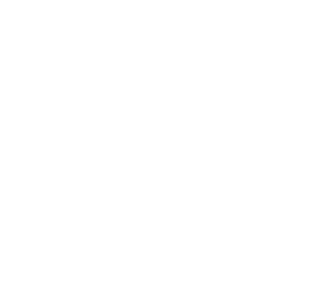 logo white transparent